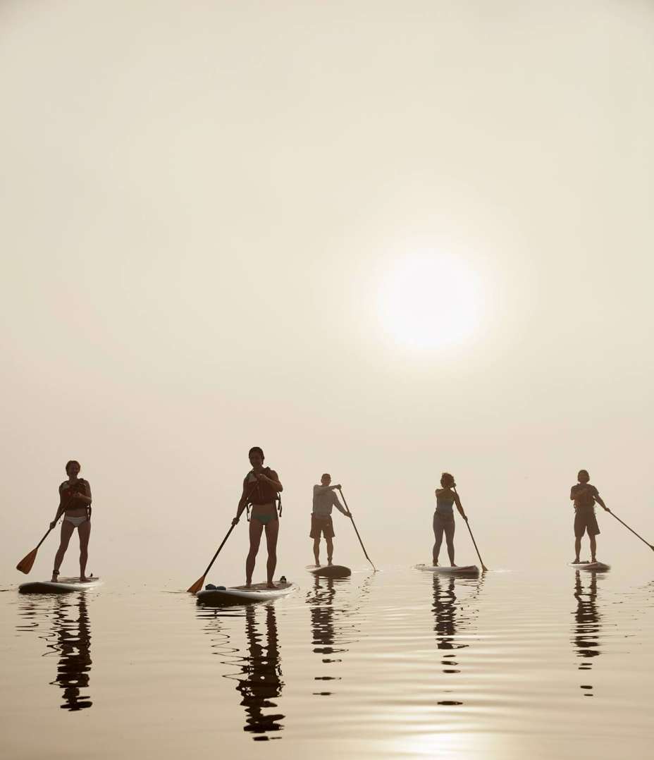 paddleboarders